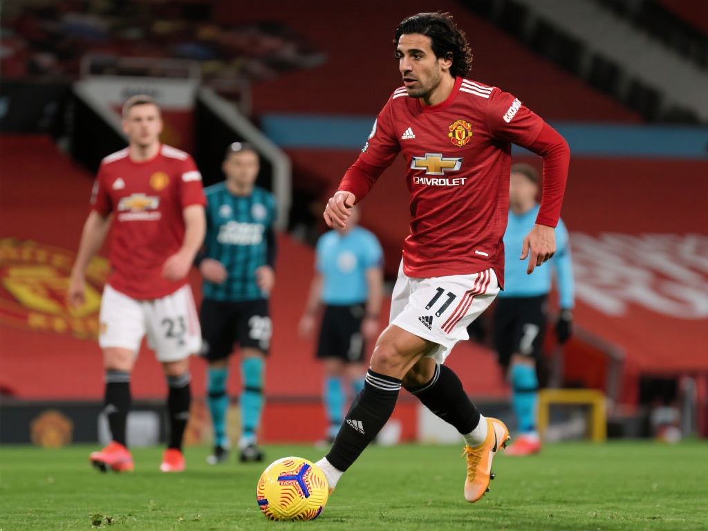 系列的第三 系列的第三